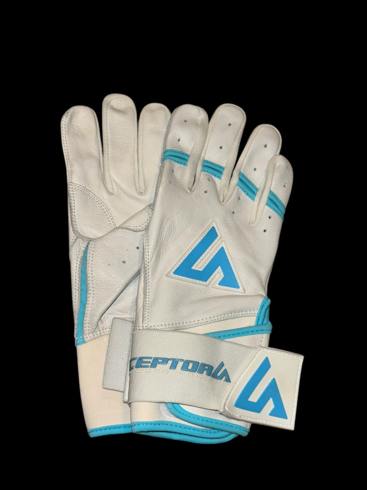 “CAROLINA” White/Carolina Blue