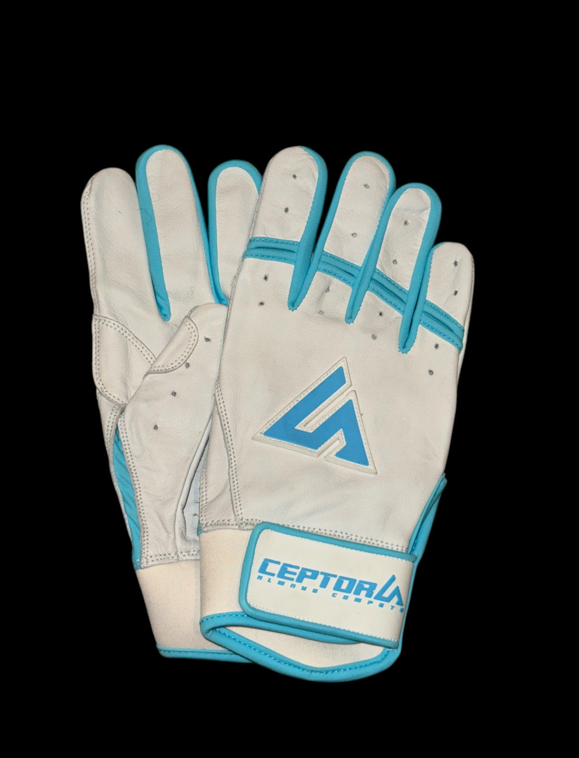 “CAROLINA” White/Carolina Blue